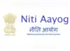 Image for NITI Aayog lays out blueprint