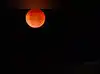 Image for 8 must see celestial events