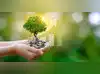 Image for Best small cap mutual funds