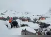 Image for Trapped on Mount Everest: 200