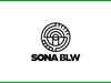 Sona BLW Precision shares zoom 4% on fund raising plans:Image