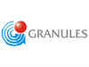 Granules India tanks 16% after USFDA observations:Image