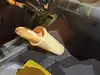 Image for Food fables: How Renault’s baguette