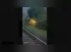 Image for Train halted for over two