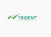 Image for Trident shares surge 6% on