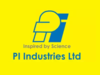 PI Industries nosedive 9% as Q2 results disappoint Street:Image