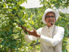 Image for Union Ministers, MPs lead tourism