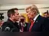Image for Musk escalates feud with Trump,