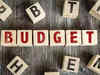 How interim Budget is linked to bigger theme for investors:Image