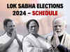 Lok Sabha Election Date 2024: Seven-phase voting to begin from April 19, result on June 4; check dates, phases and other details:Image