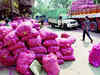 India extends onion export ban till further orders:Image