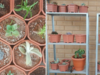 How a Bengaluru family with 350-plant garden is effortlessly beating the water crisis:Image