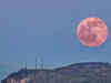 Full Pink Moon April 2024: Celestial event to impact these 4 Zodiac signs:Image