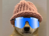 Dogwifhat price prediction: Can it hit $10 in 2024?:Image