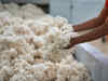 India's cotton exports may rise 27% to 28 lakh bales in 2023-24 season: CAI:Image
