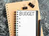 New govt likely to vote for populism in budget:Image