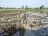 PM to release Rs 20,000 cr for farmers, felicitate 'Krishi Sakhis' in Varanasi visit on June 18:Image