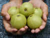 Amla: Benefits of this monsoon superfood, items you can prepare and how to consume:Image