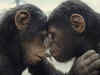 Kingdom of the Planet of the Apes: Here’s where you can stream the movie online:Image