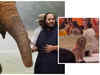 How Anant Ambani's devotion to animals inspired Vantara:Image