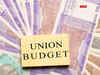 Budget 2024's focus may be transformative reforms for startups:Image