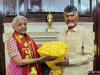 Union Budget 2024: Chandrababu Naidu thanks Centre for recognising Andhra Pradesh's needs:Image