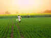 Agri Stack to cover six crore farmers by end of the year:Image