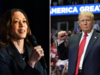 US Presidential Election 2024: Betting data indicates Trump ahead; Does Harris have a chance of winning? Here are the details:Image