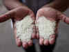 Govt allows 1,000 MT non-basmati white rice export to Namibia:Image