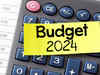 Budget 2024 misses mark on comprehensive custom duty rationalisation, say experts:Image