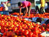 Weather disruption in Himachal Pradesh to make tomato prices red hot again:Image