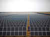 Solar panel makers seek retroactive duties, citing import surge:Image