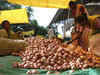 Onion prices recover after crashing by 10% following the launch of retail sale of onions by the central govt:Image