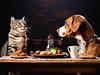 It's reigning cats & dogs in USA: How pets became a talking point in the Presidential race:Image