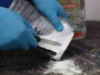 India's biggest Cocaine haul worth Rs 6.5 k crore was meant to be distributed at 'four big upcoming music concerts':Image