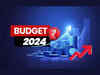 View: Interim budget ticks all the boxes but annual budget is crucial for assessing economy's competitive pulse:Image