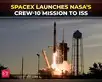 Image for SpaceX launches Crew-10 to bring home Sunita Williams, Butch Wilmore