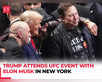 Trump, Musk attend UFC event at Madison Square Garden:Image