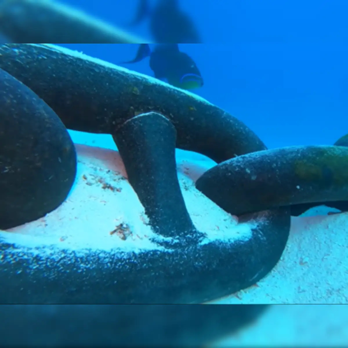 Gopro dropped under cruise ship 60 photos - Mariaserkin.com