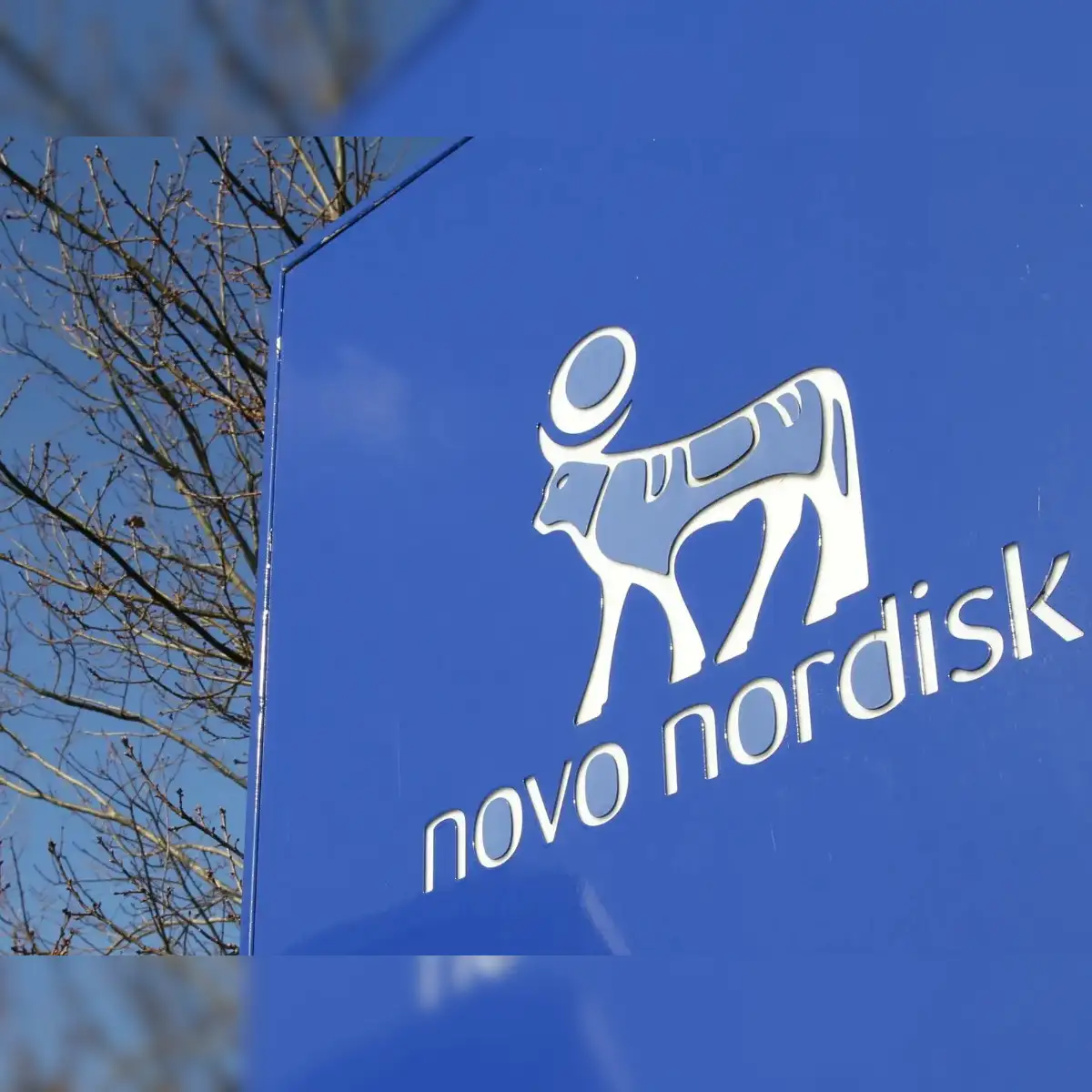 abbott semaglutide × Novo Nordisk 🤝 just entered its next growth phase in India. This isn't just a product launch. It's a distribution-led expansion strategy in one of the fastest-growing cardiometabolic markets GLP-1s | AgelessRx