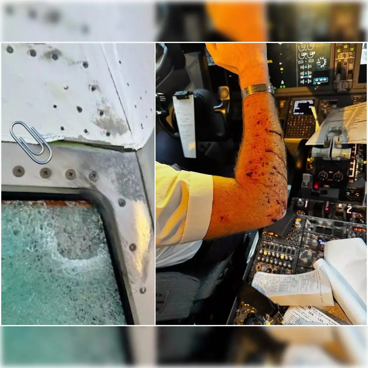 United Airlines 737 MAX carrying 140 passengers to LAX diverts after  mysterious object cracks cockpit windshield midair; pilot injured - The  Economic Times