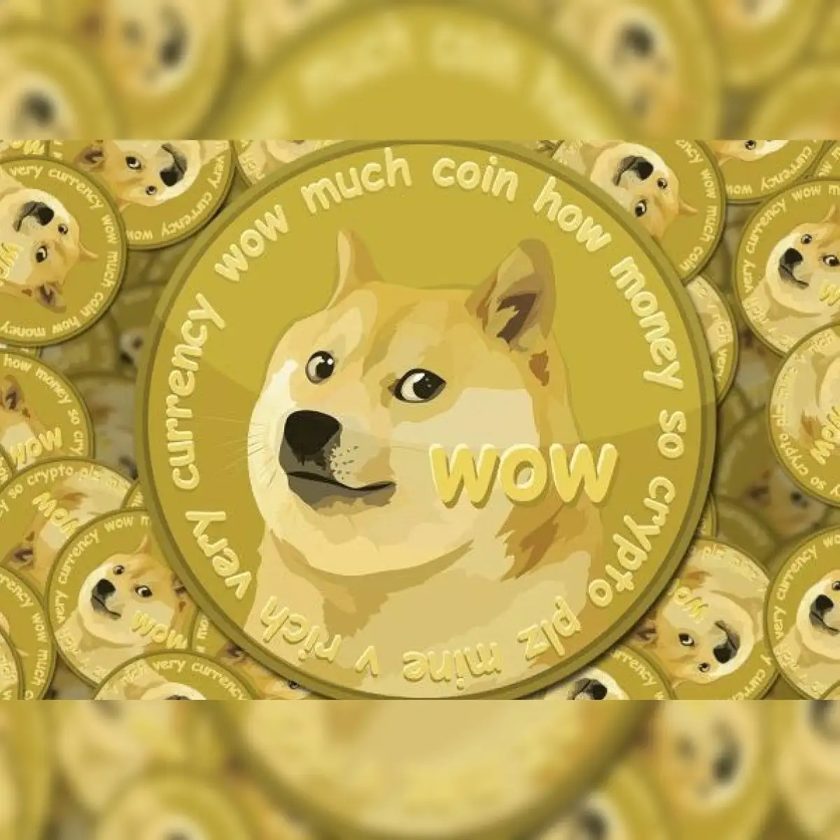 dogecoin: Crypto Dogecoin soaring, crashes Robinhood token trading - The  Economic Times