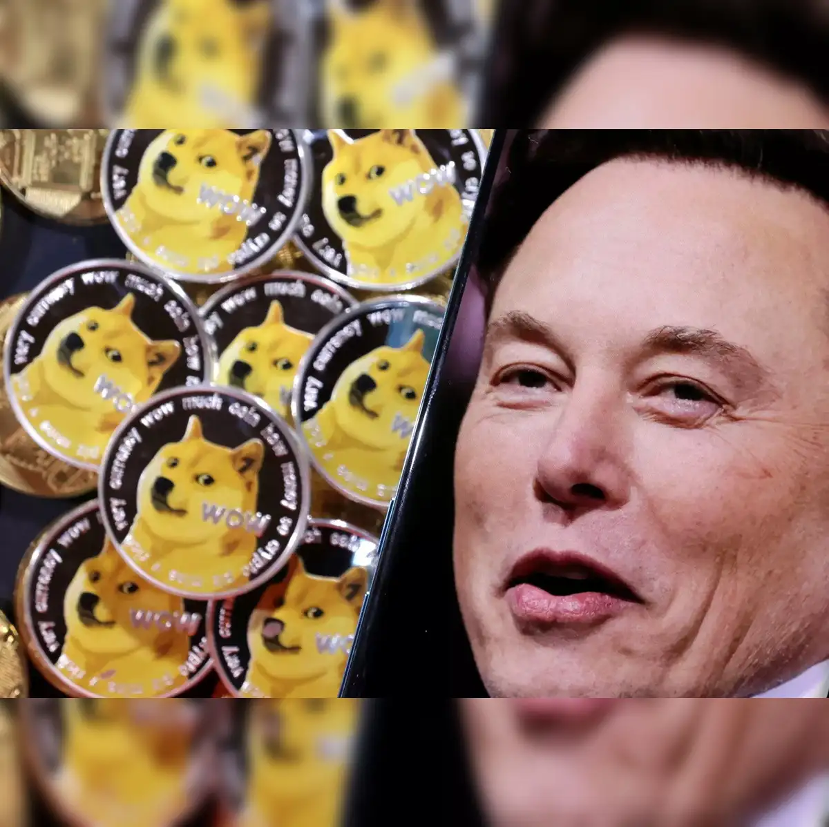 elon musk: Elon Musk says never suggested people should invest in Dogecoin  - The Economic Times