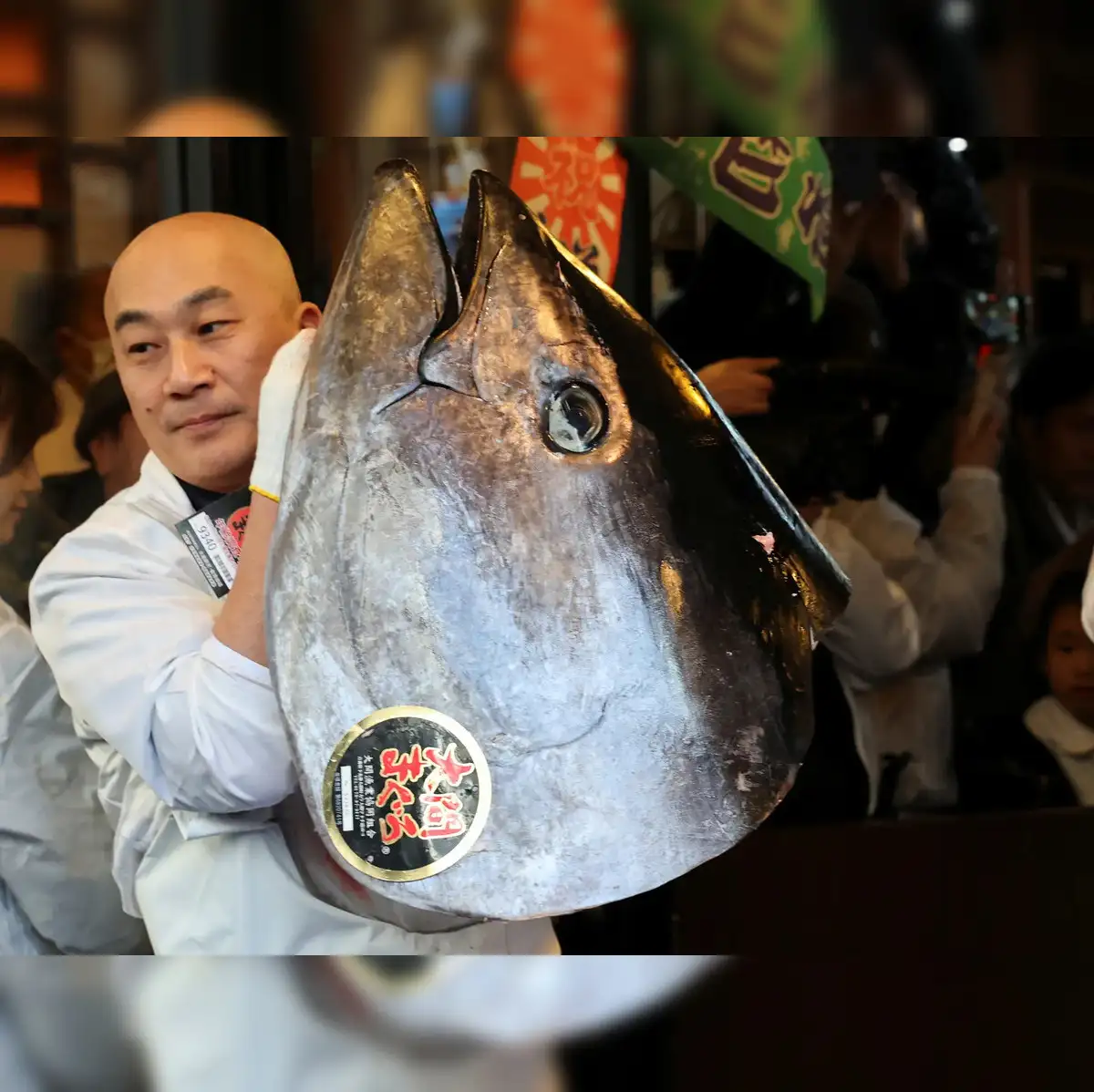 What Is The World Record Bluefin Tuna [2026]