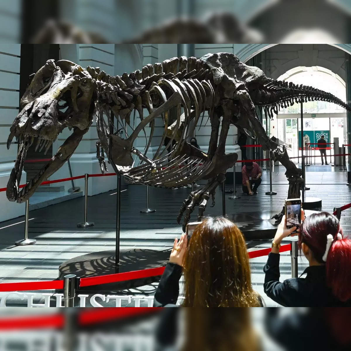 T-Rex Fights More Dinosaurs – Apps no Google Play