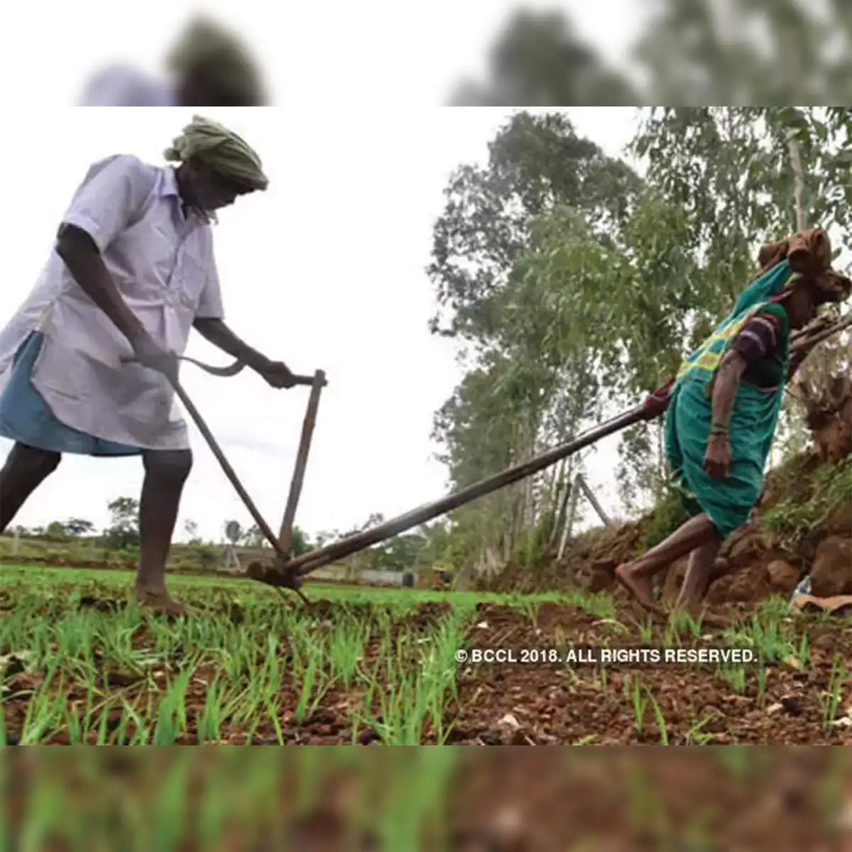 How India can script a self-reliance success story in agriculture - The  Economic Times