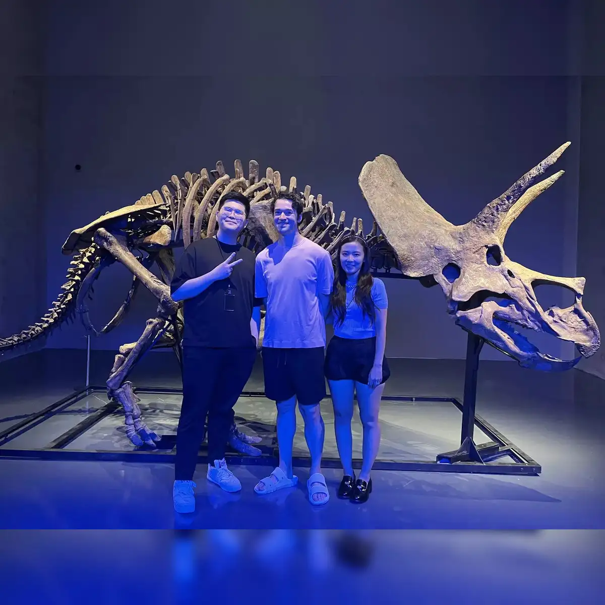 Crypto elite shun NFTs to bet on 69-million-year-old dinosaur fossils - The  Economic Times