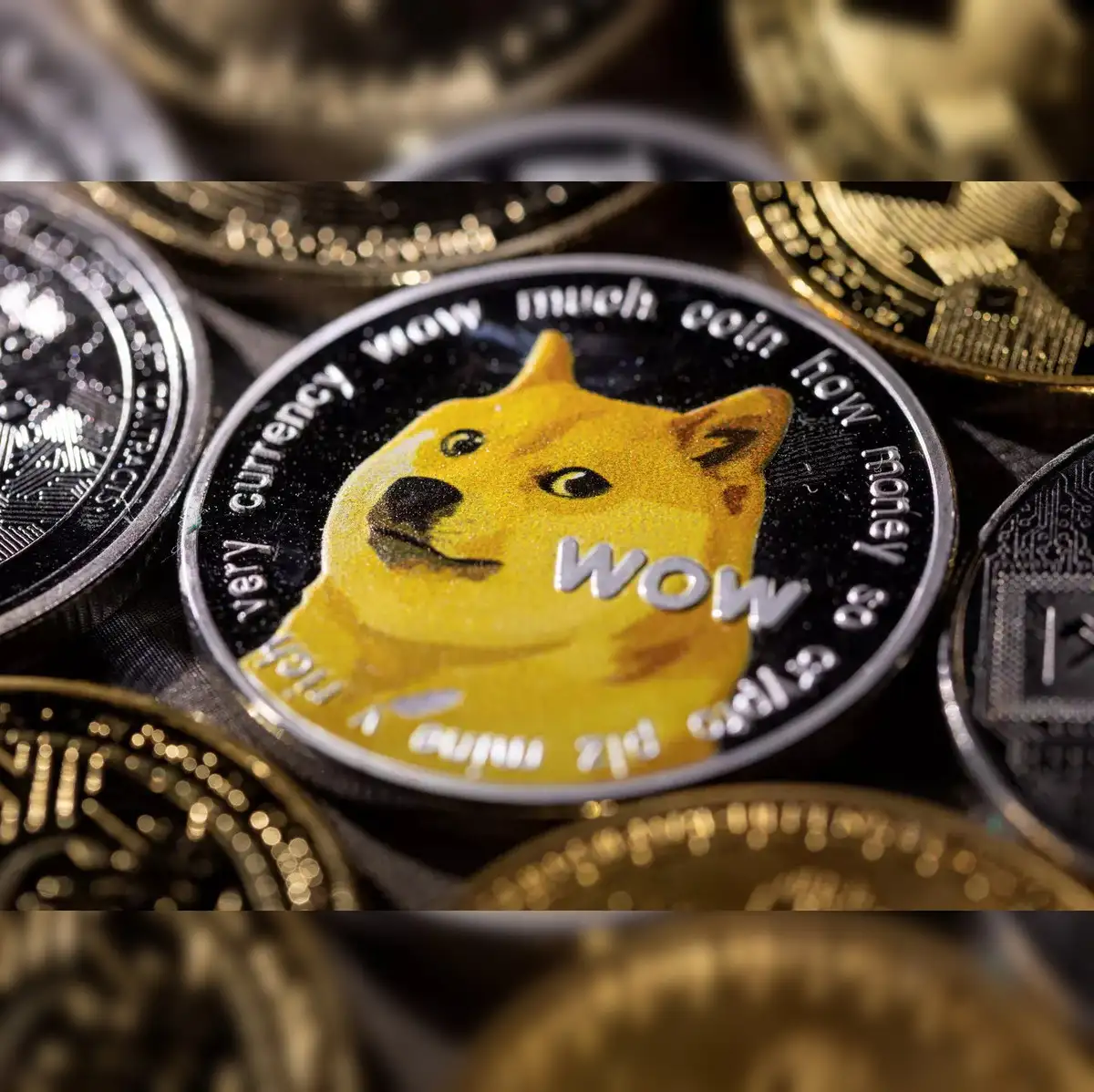 Dogecoin price: Meme coins return to earth as gloom overtakes crypto  fanatics - The Economic Times
