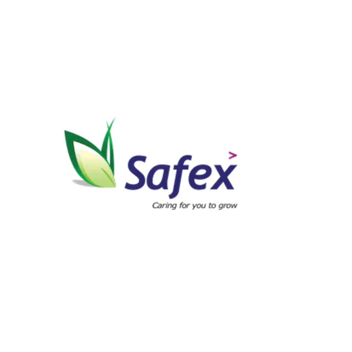 Safex Chemicals files DRHP for IPO with Sebi; to raise Rs 450 cr via fresh  issue - The Economic Times
