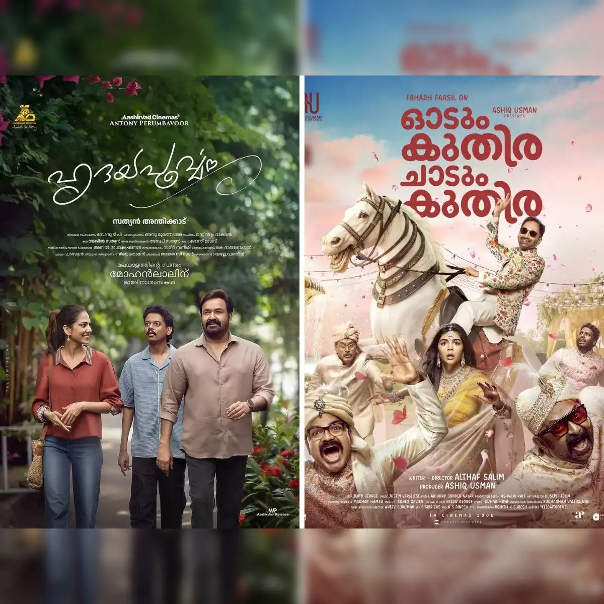 Jinsiy marafonni onlayn tomosha qiling